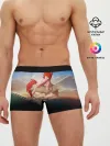 Мужские трусы боксеры / Red