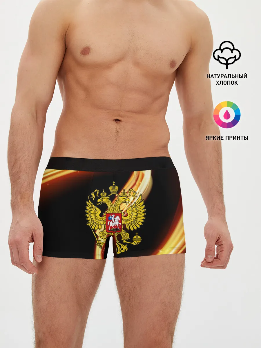 Мужские трусы боксеры / Герб РФ collection line