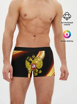 Мужские трусы боксеры / Герб РФ collection line