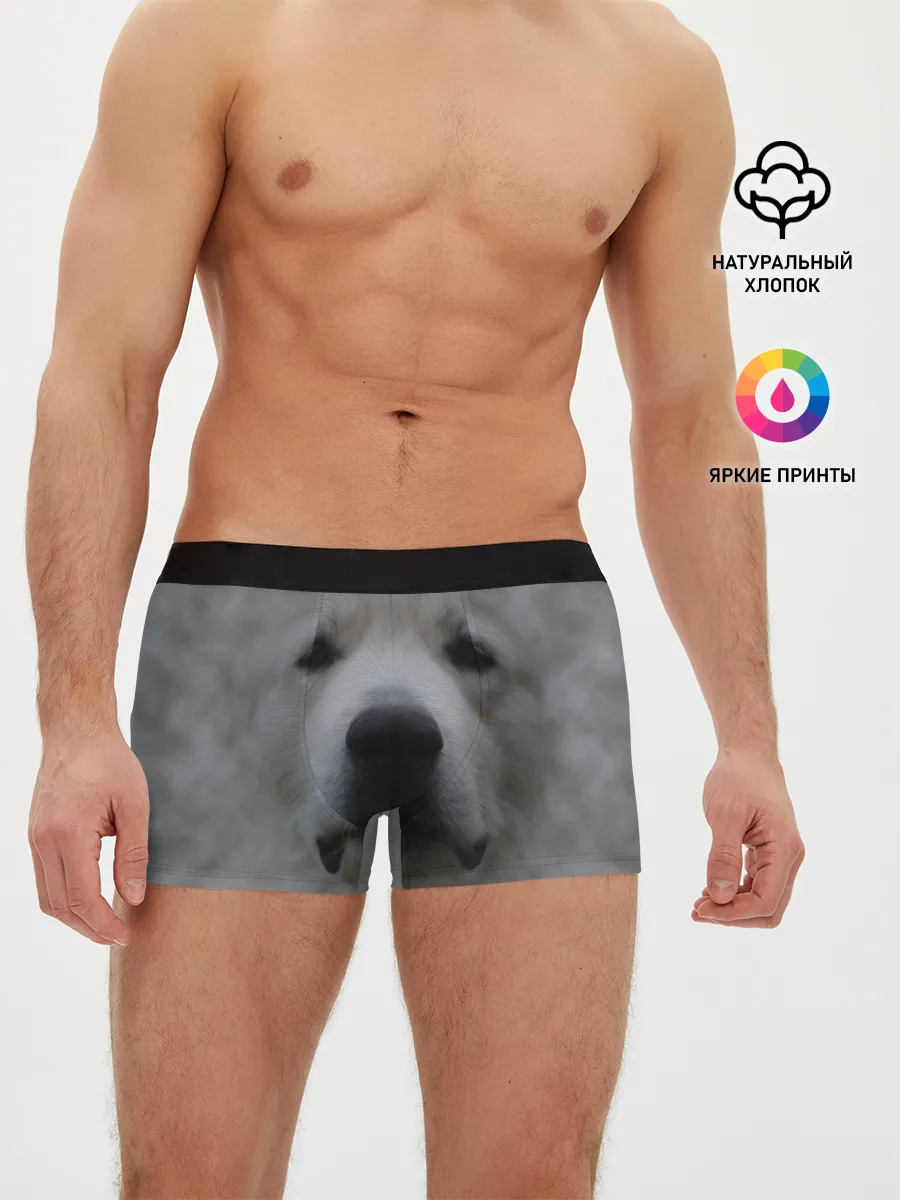 Мужские трусы боксеры / Лабрадор