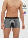 Мужские трусы боксеры / Лабрадор
