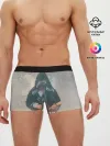 Мужские трусы боксеры / Нейромонах Феофан