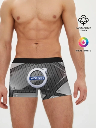 Мужские трусы боксеры / VOLVO metalic 2018