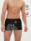 Мужские трусы боксеры / Герб России