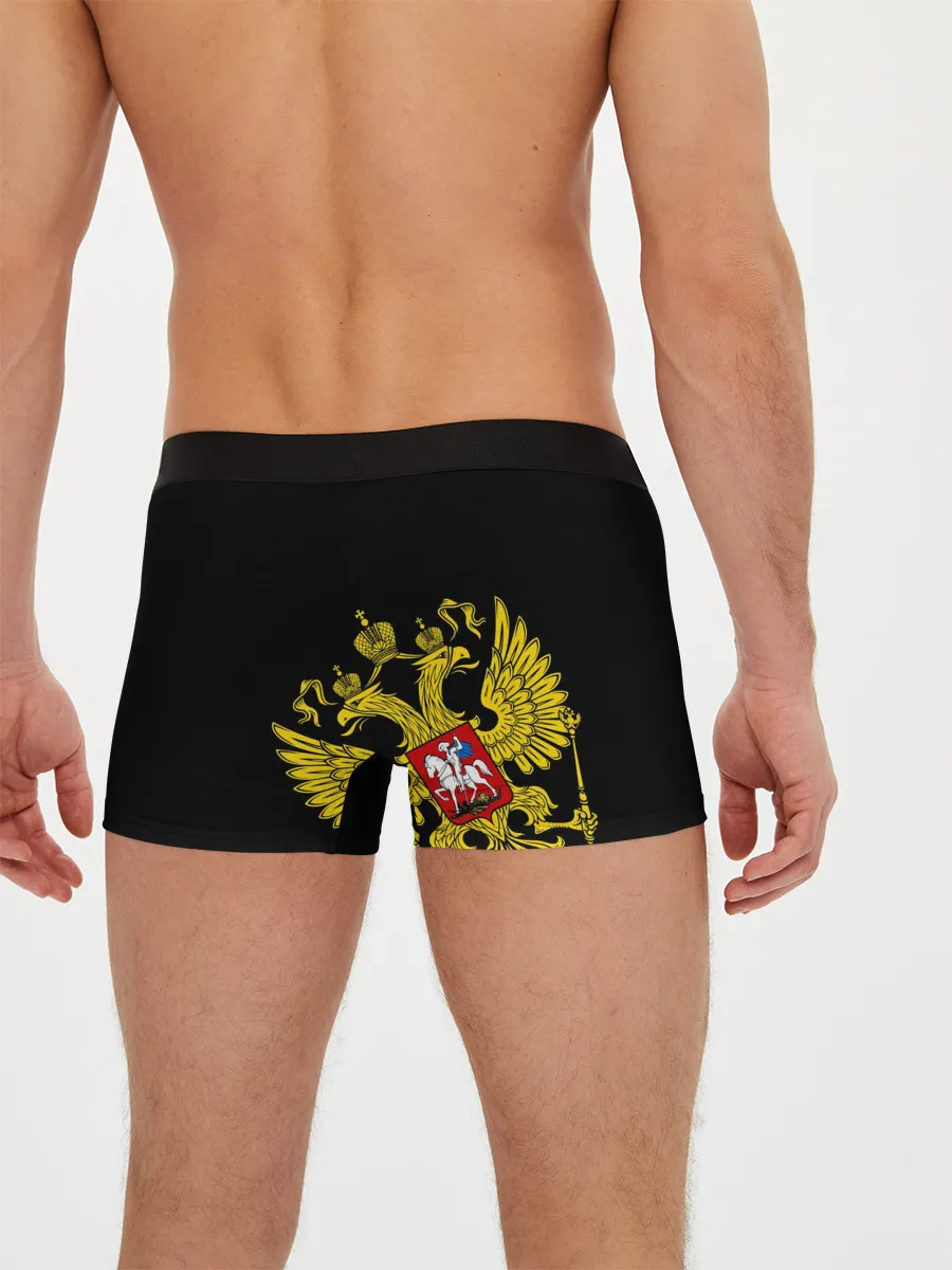 Мужские трусы боксеры / Флаг и Герб России