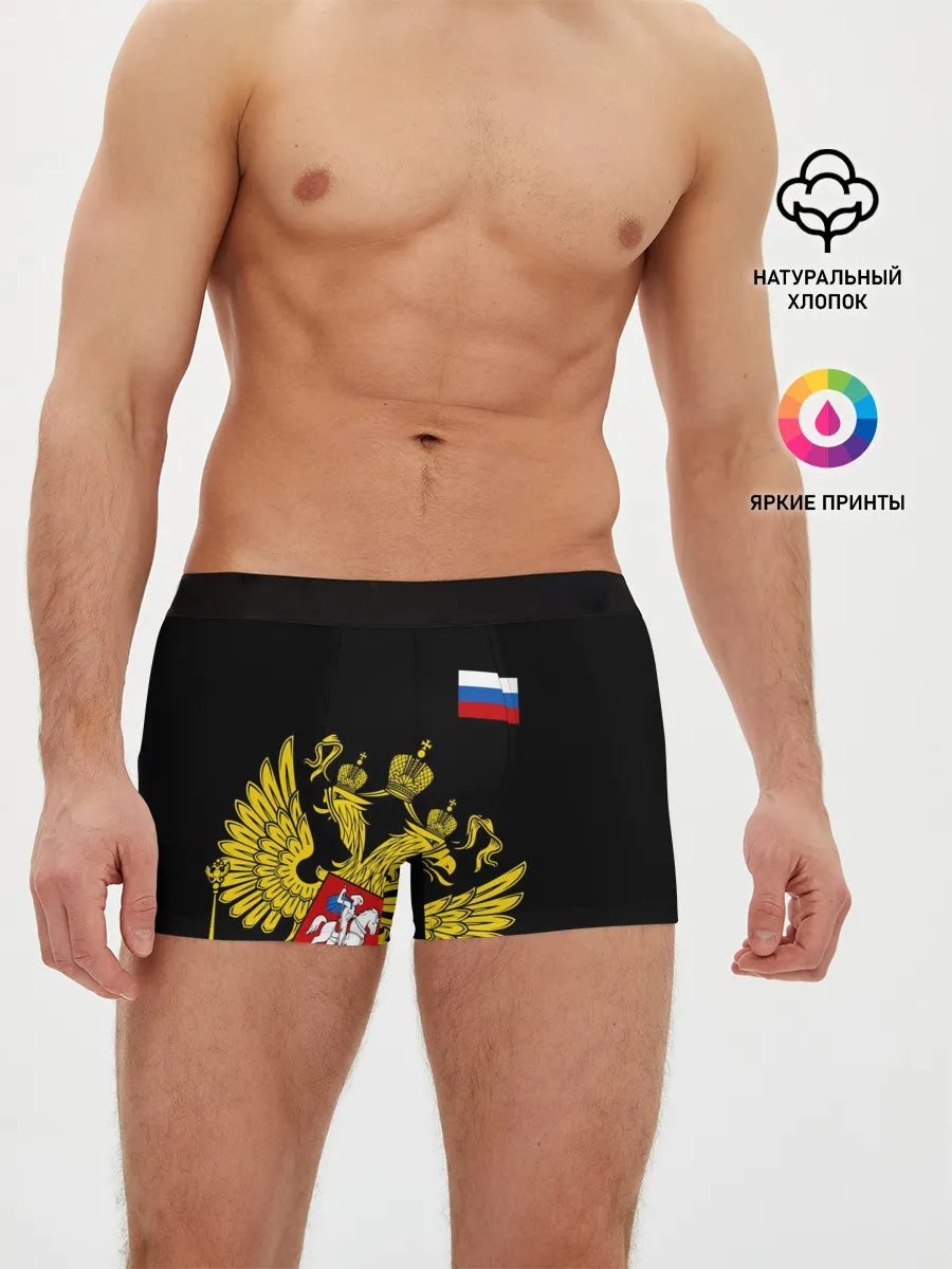 Мужские трусы боксеры / Флаг и Герб России