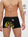 Мужские трусы боксеры / Флаг и Герб России