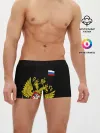 Мужские трусы боксеры / Флаг и Герб России