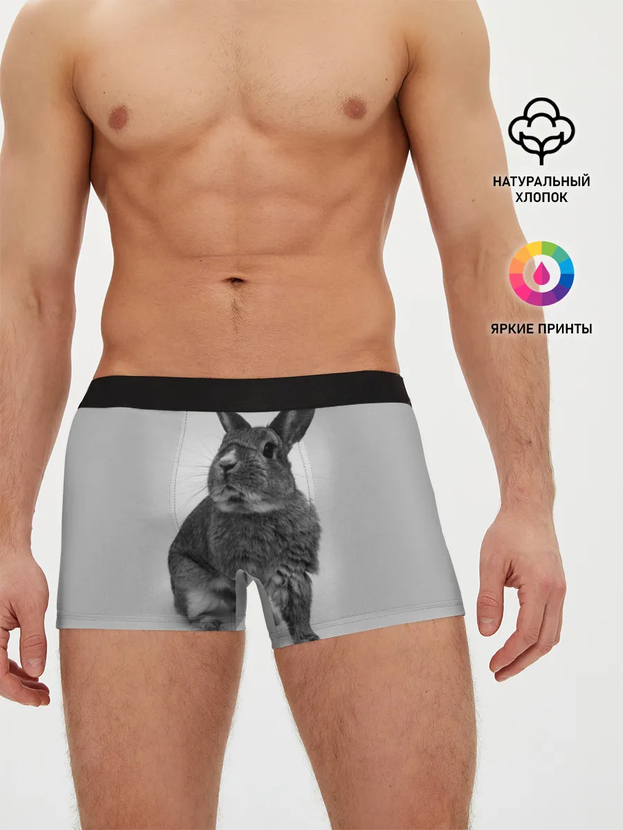 Мужские трусы боксеры / Кролик