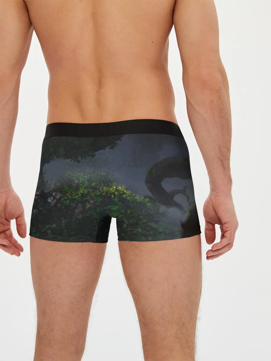 Мужские трусы боксеры / Йеннифер и Геральт