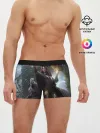 Мужские трусы боксеры / Йеннифер и Геральт
