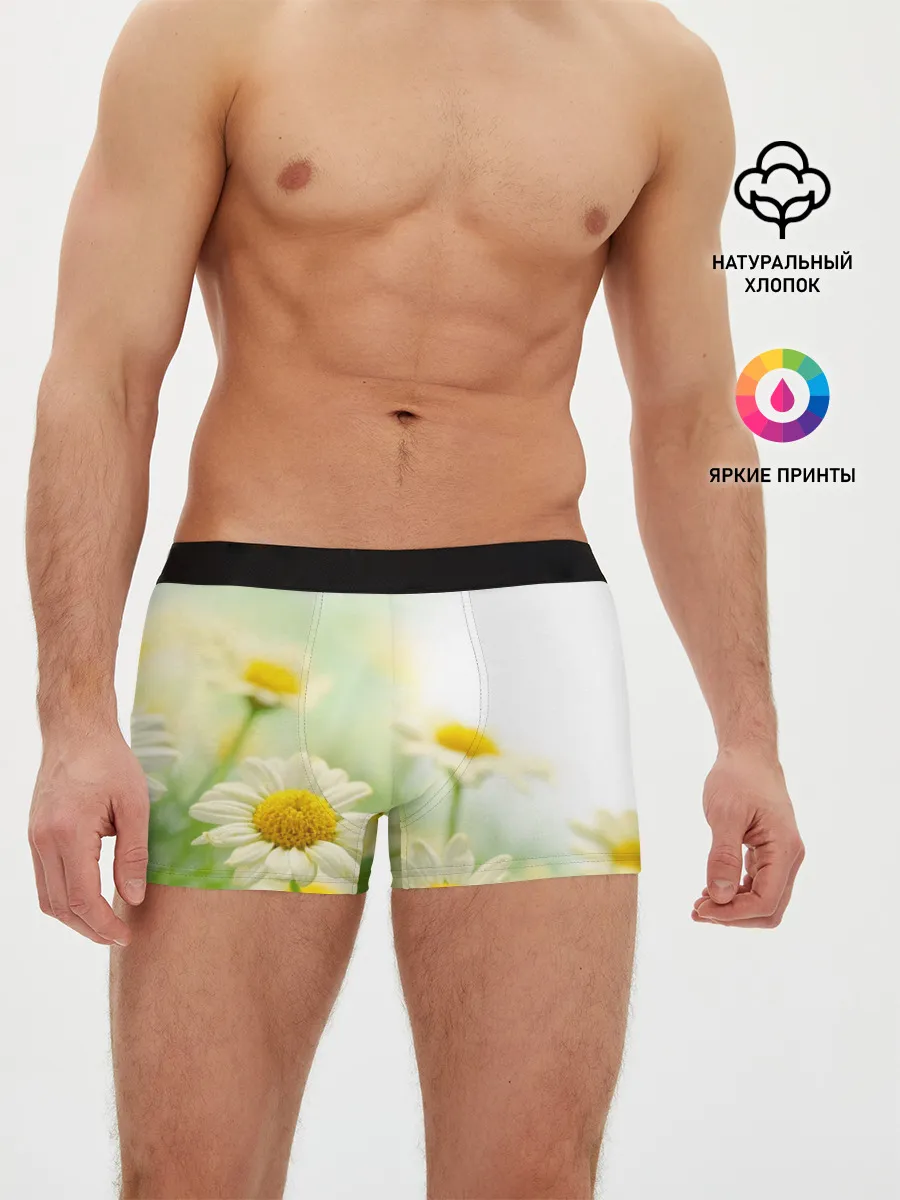 Мужские трусы боксеры / Полевые ромашки