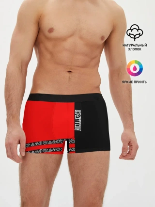 Мужские трусы боксеры / led zeppelin