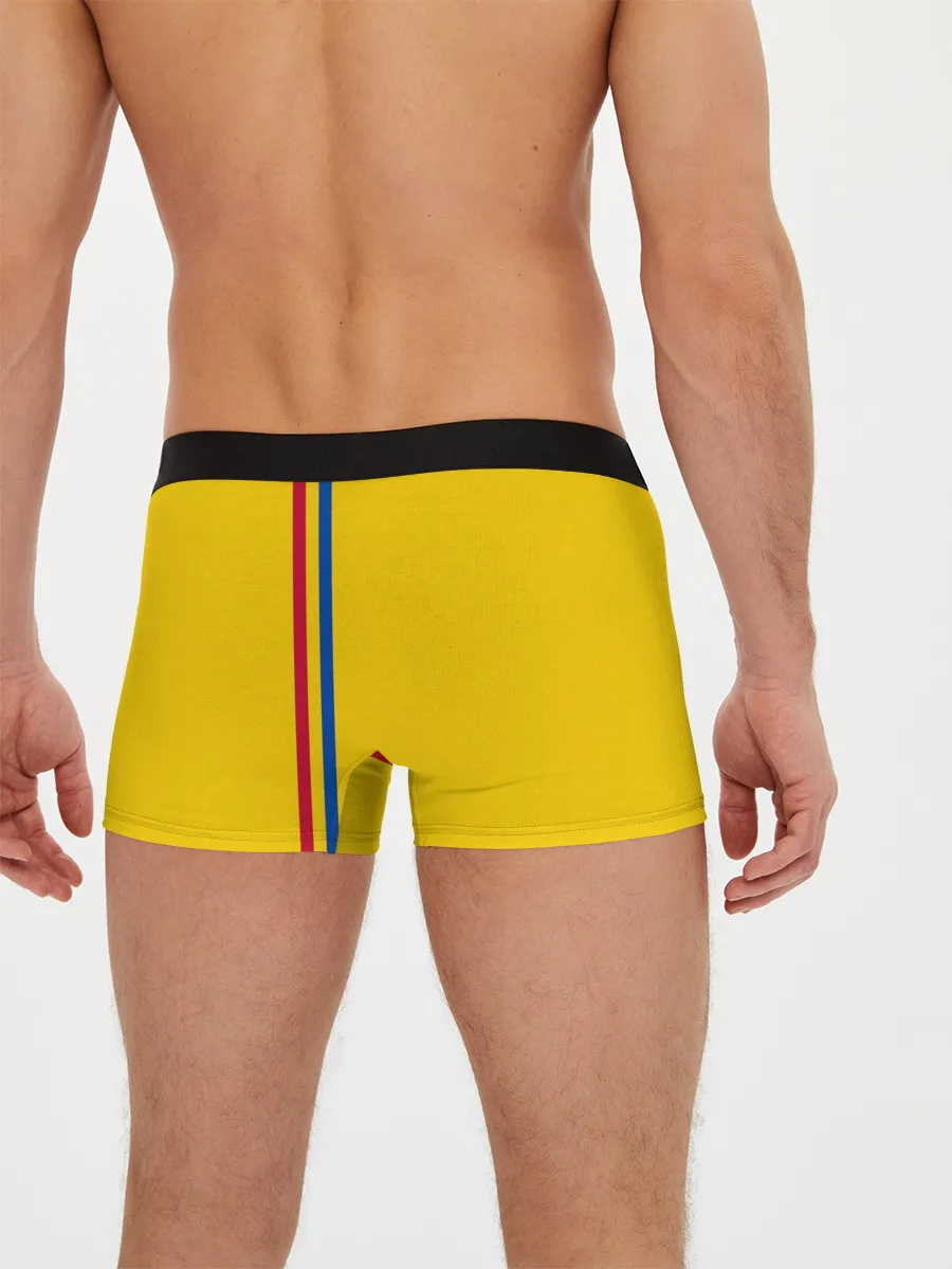 Мужские трусы боксеры / Молдавия, лента с гербом