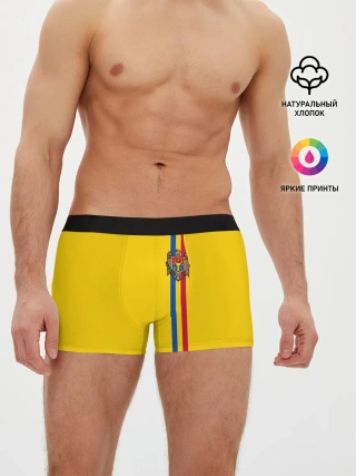Мужские трусы боксеры / Молдавия, лента с гербом