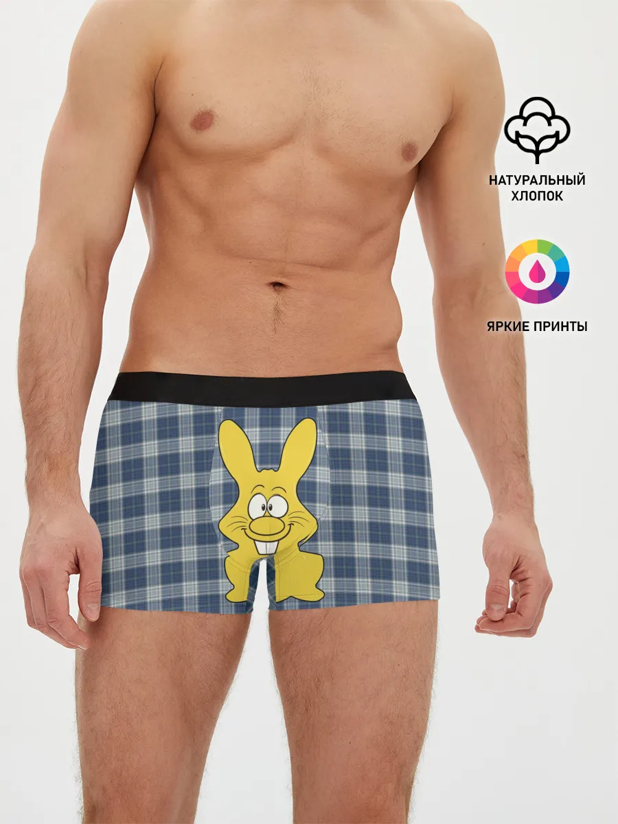 Мужские трусы боксеры / Харитон