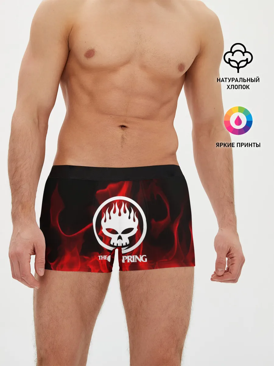 Мужские трусы боксеры / The Offspring