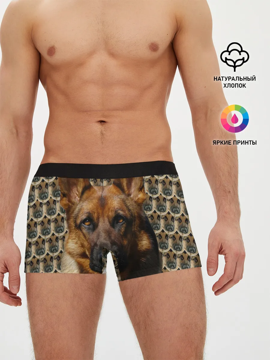Мужские трусы боксеры / Овчарка
