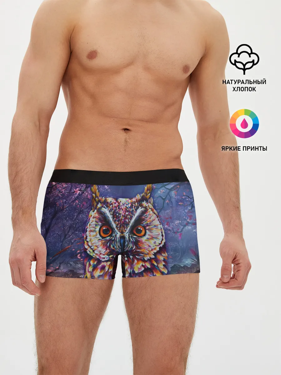 Мужские трусы боксеры / Сова