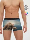 Мужские трусы боксеры / A bear