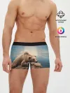 Мужские трусы боксеры / A bear