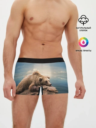 Мужские трусы боксеры / A bear