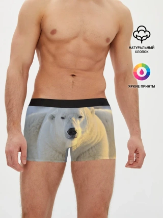 Мужские трусы боксеры / Медведь