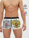 Мужские трусы боксеры / Russia