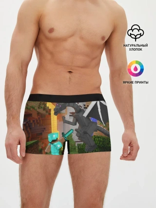 Мужские трусы боксеры / Стив сражается с Эндердраконом