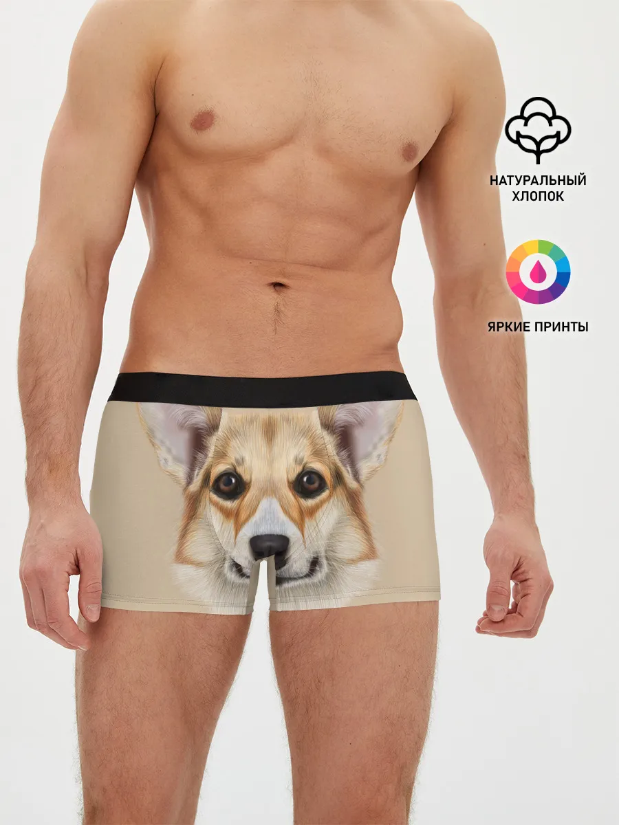 Мужские трусы боксеры / Pembroke