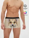 Мужские трусы боксеры / Pembroke