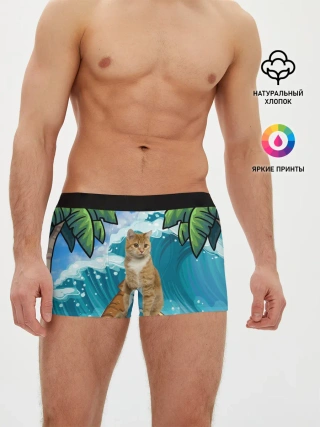 Мужские трусы боксеры / Сёрфинг на Пицце