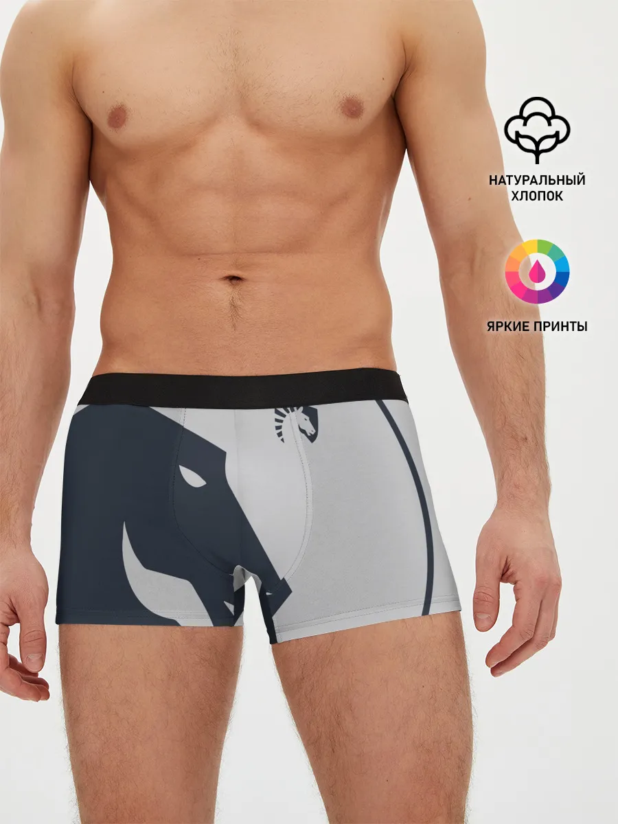 Мужские трусы боксеры / Liquid - The Form