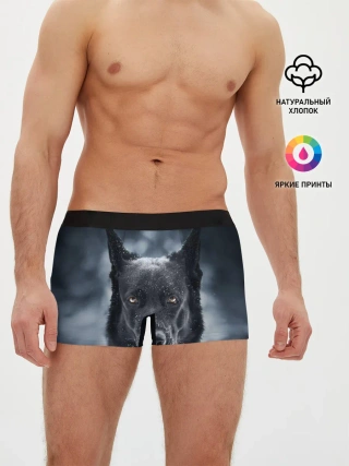 Мужские трусы боксеры / Dark Dog