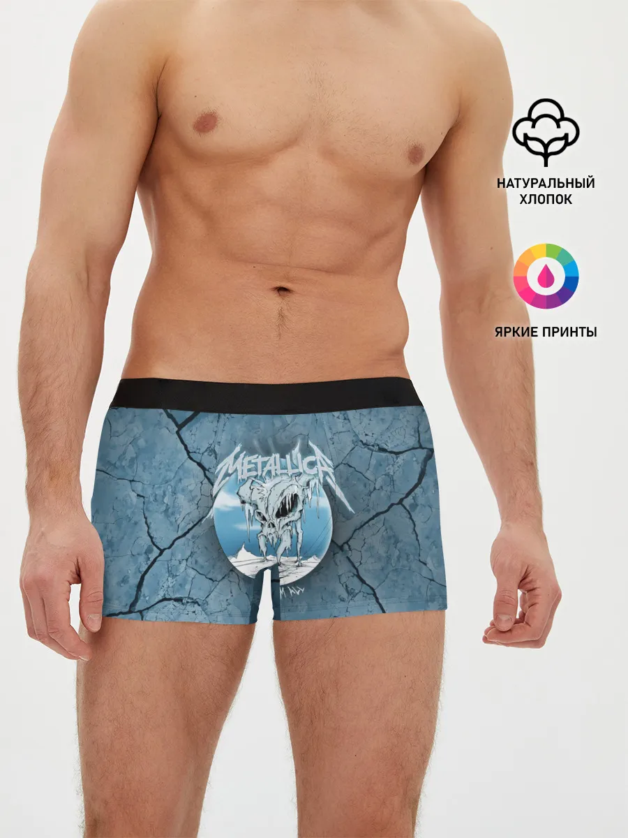 Мужские трусы боксеры / Metallica, freeze em all