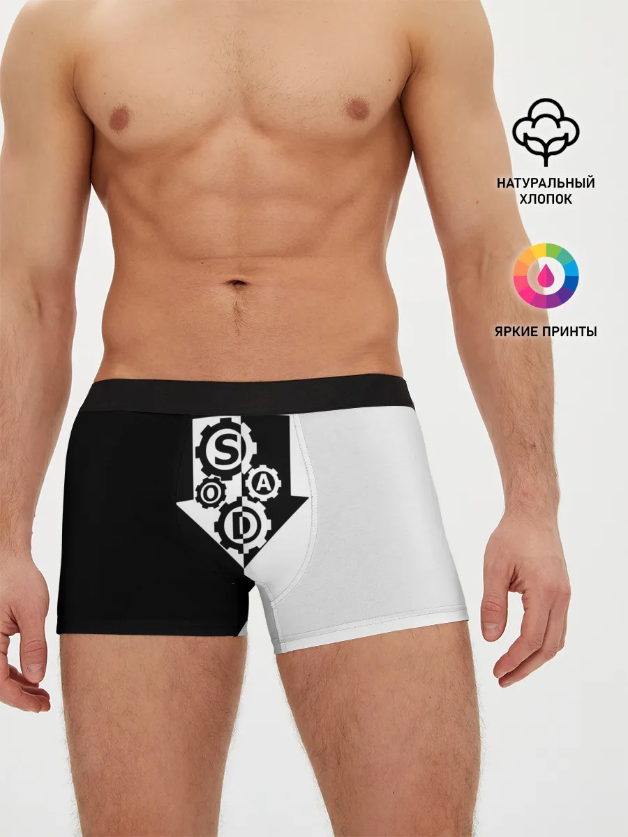 Мужские трусы боксеры / System of a Down