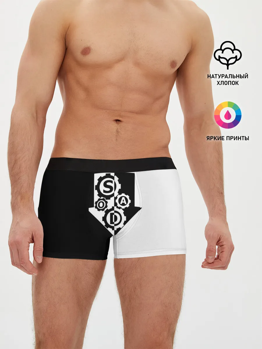 Мужские трусы боксеры / System of a Down