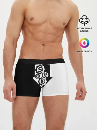 Мужские трусы боксеры / System of a Down
