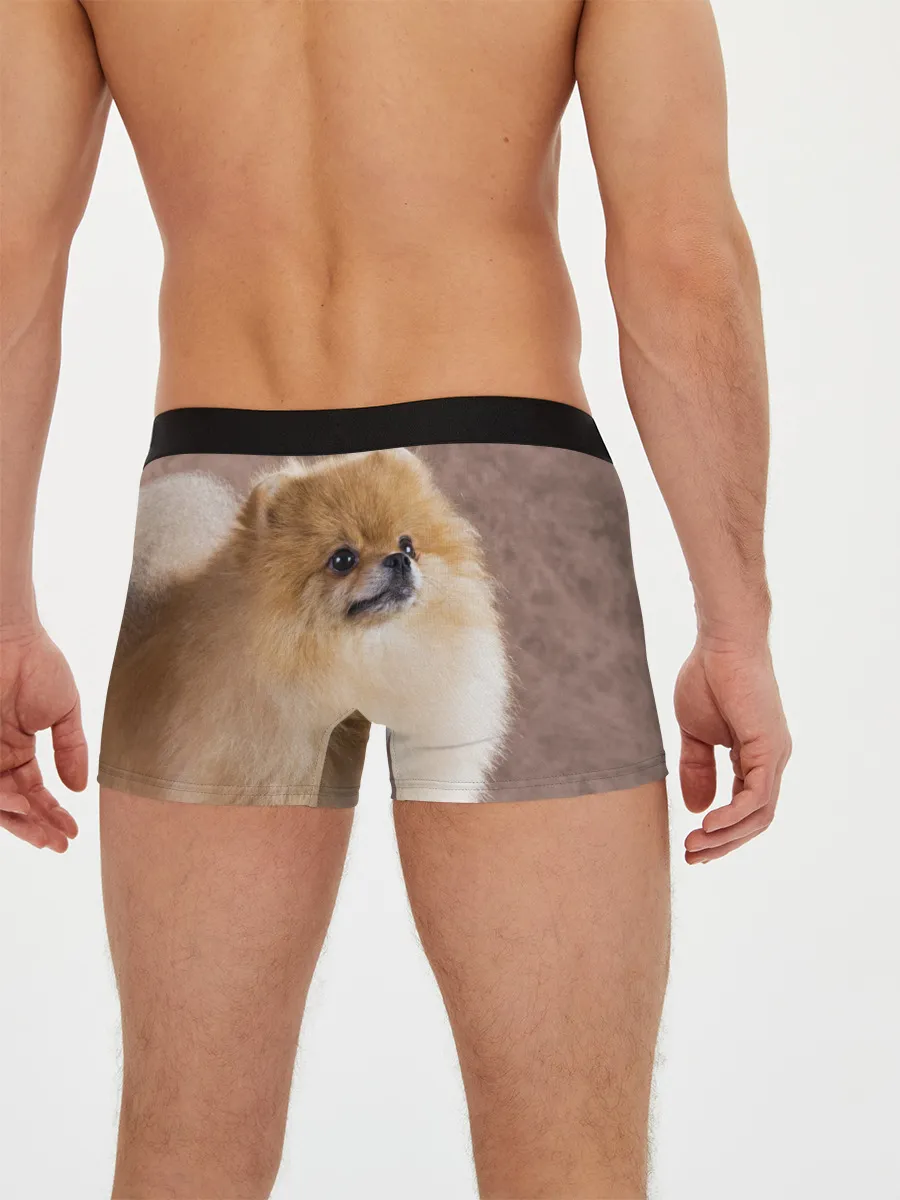 Мужские трусы боксеры / Шпитс