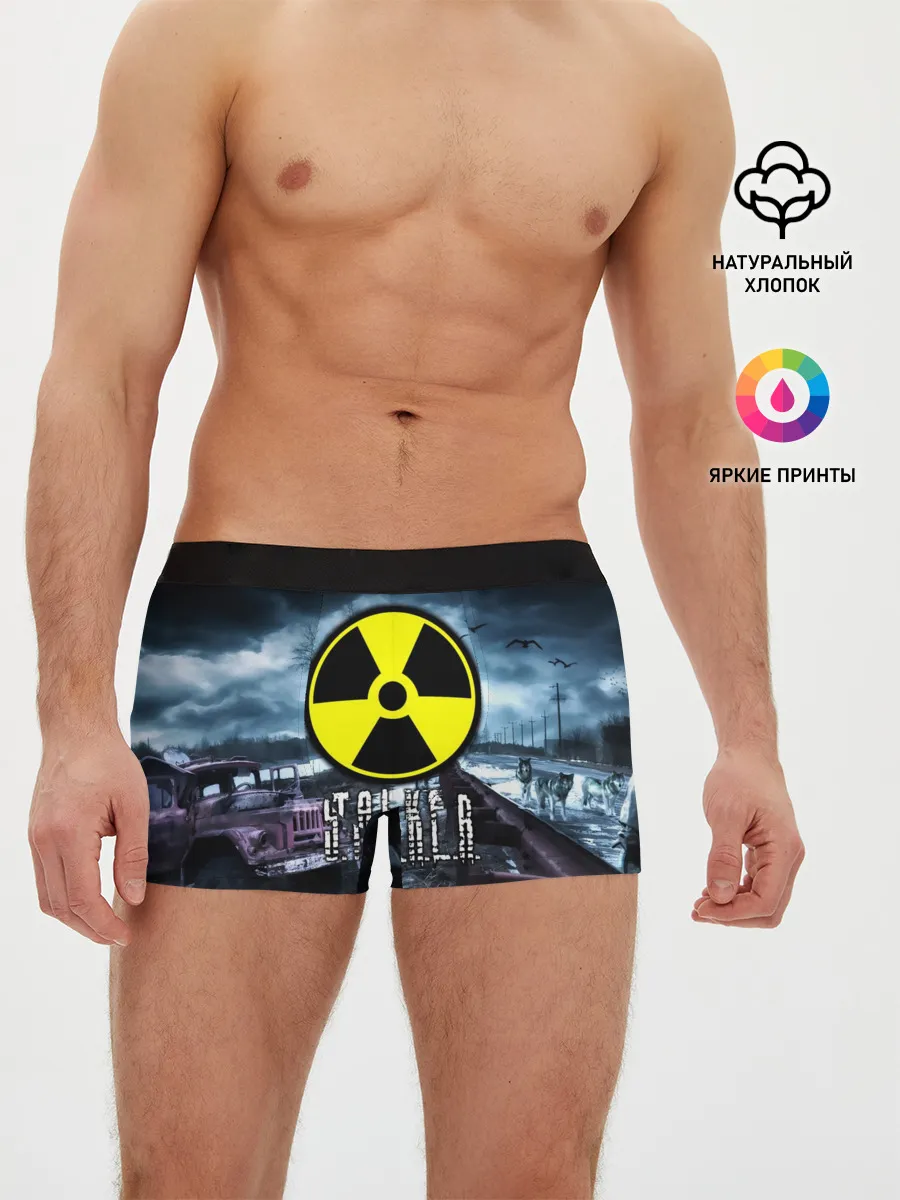 Мужские трусы боксеры / S.T.A.L.K.E.R.