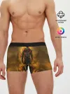Мужские трусы боксеры / Dark Souls
