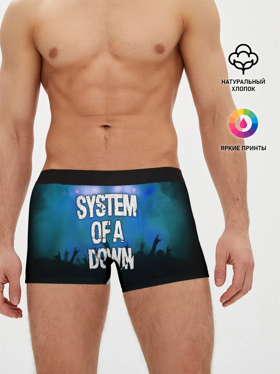 Мужские трусы боксеры / System of a Down