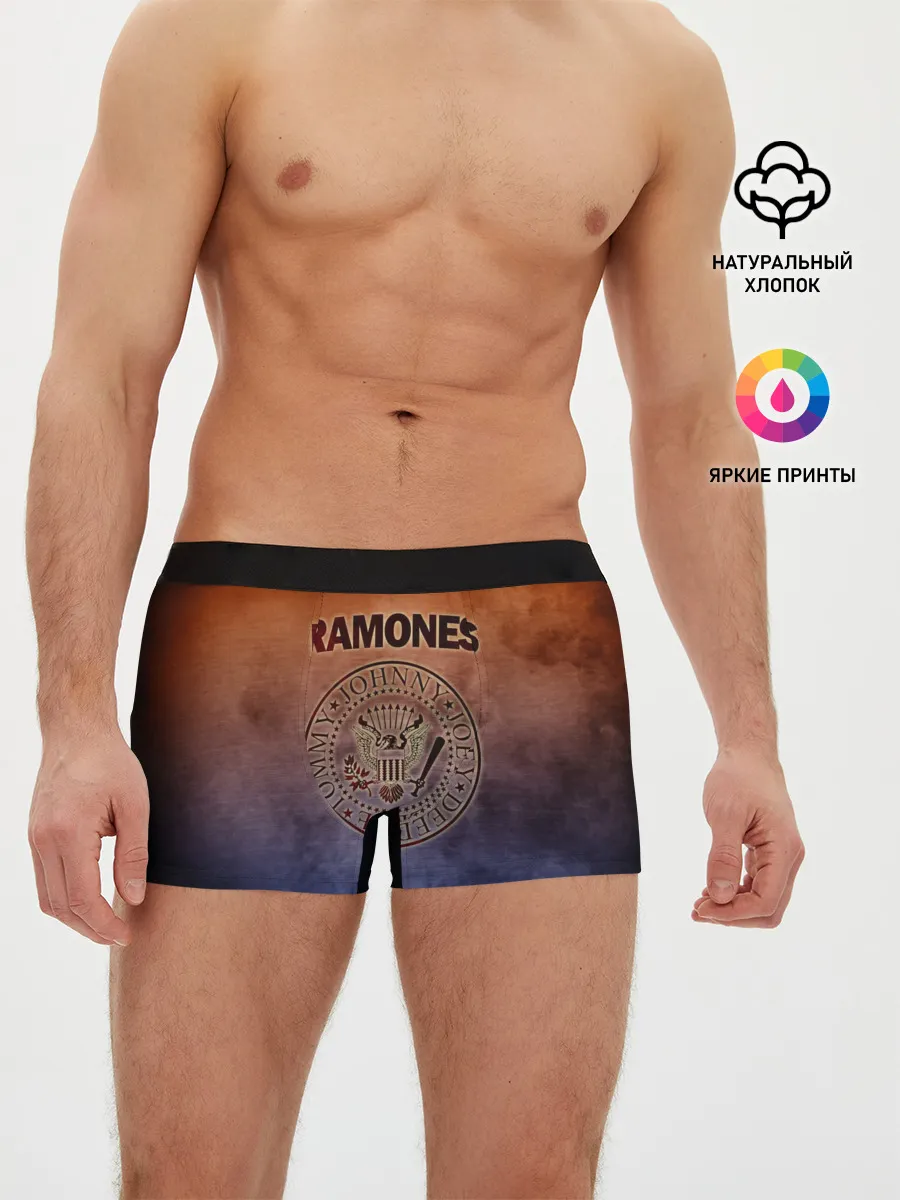 Мужские трусы боксеры / Ramones