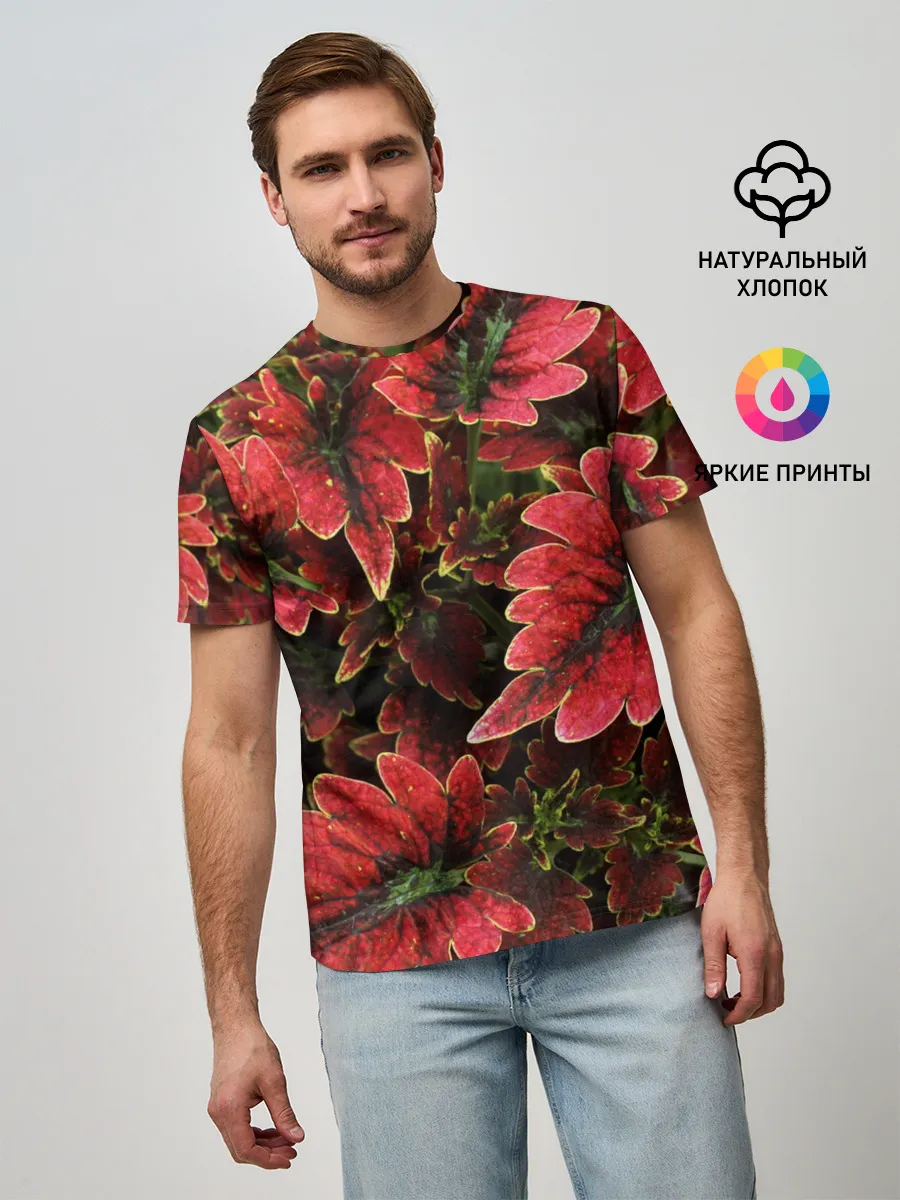 Мужская базовая футболка / Красные листья