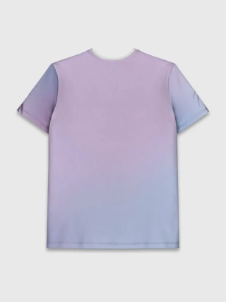 Мужская базовая футболка / Lions love