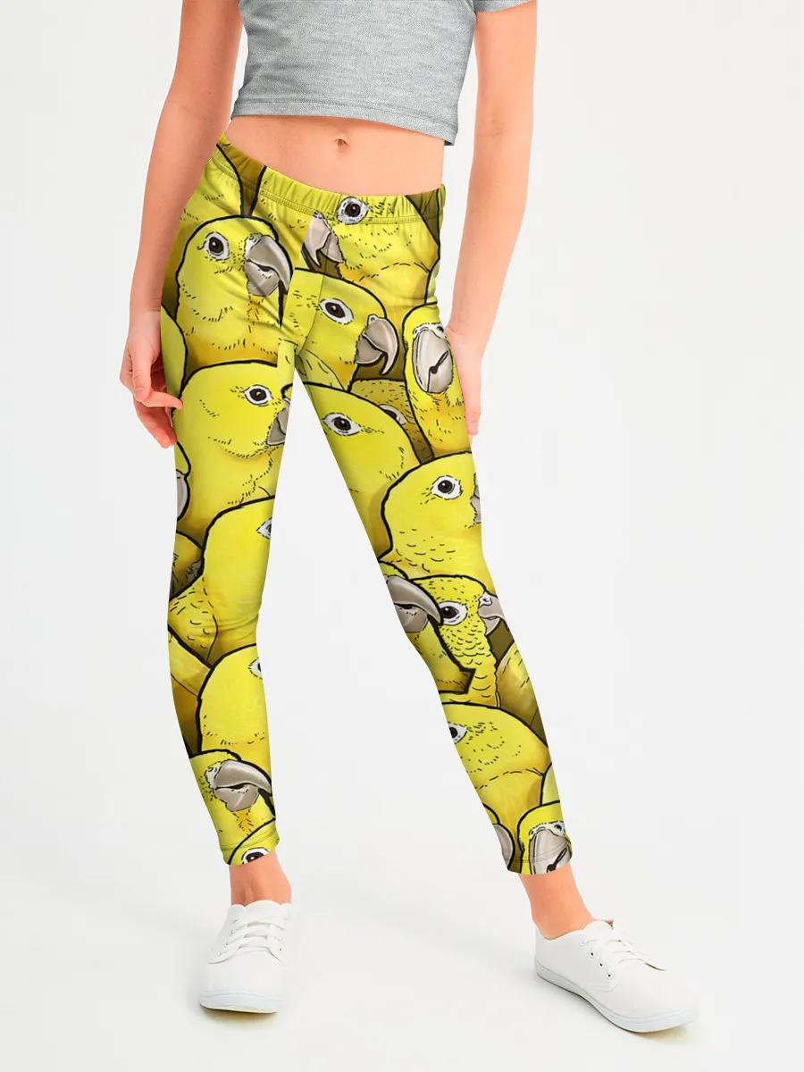 Леггинсы для девочки / Попугаи
