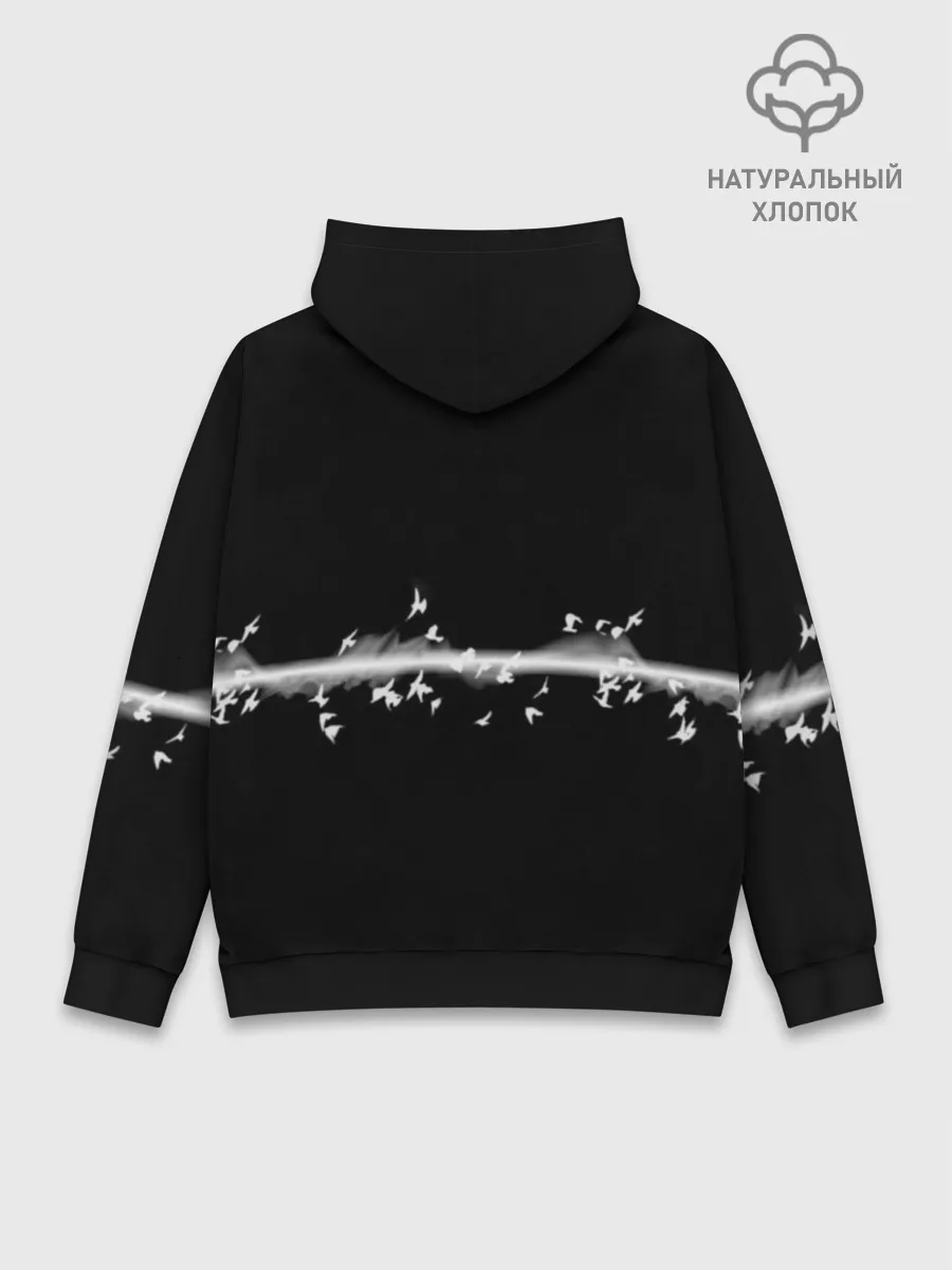 Худи мужской база хлопок / Pink Floyd