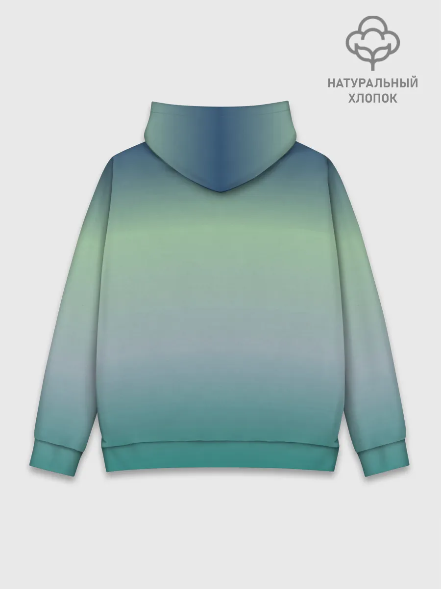 Худи мужской база хлопок / Ronaldo