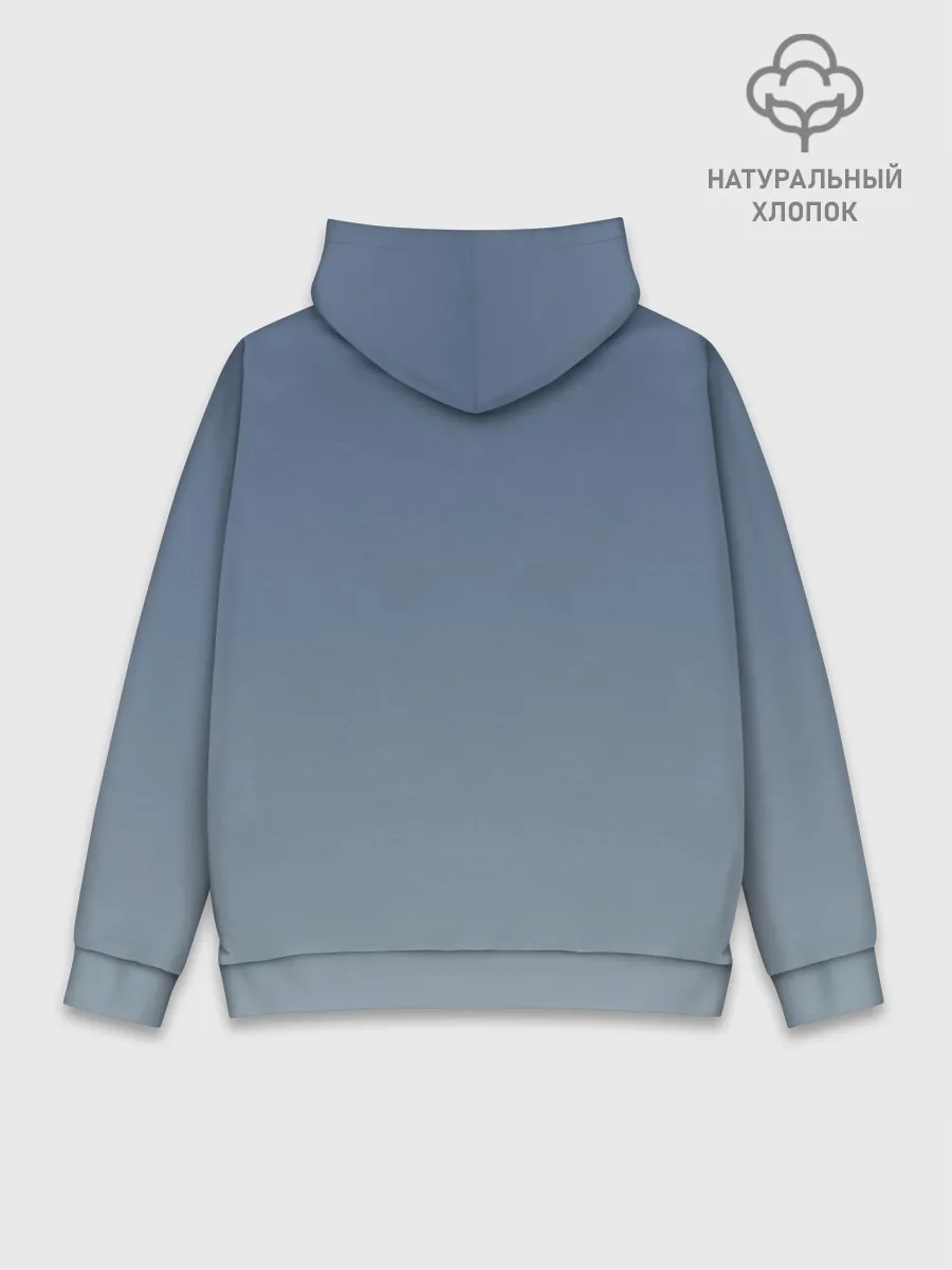 Худи мужской база хлопок / Самолёт