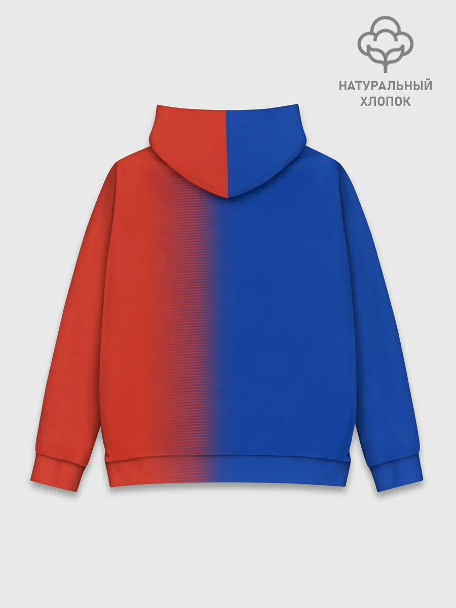 Худи мужской база хлопок / РОССИЯ | RUSSIA